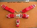 5 Point Race Harness