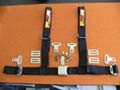4 Point Race Harness